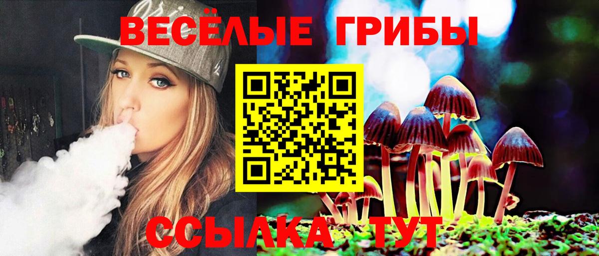 Горно-Алтайск  Галлюциногенные грибы GOLDEN TEACHER  Вход с VPN 